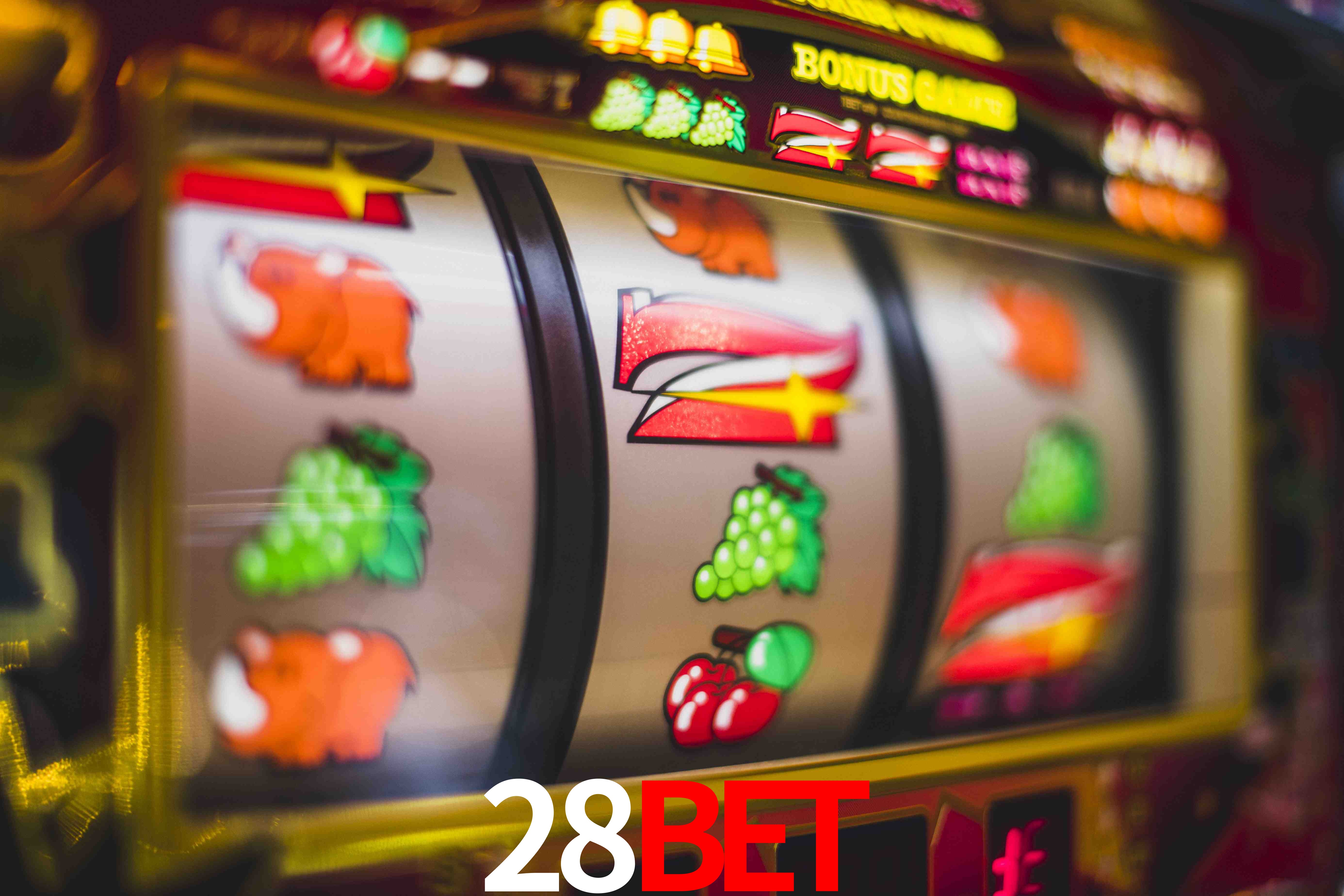 Sports Statistics 28BET